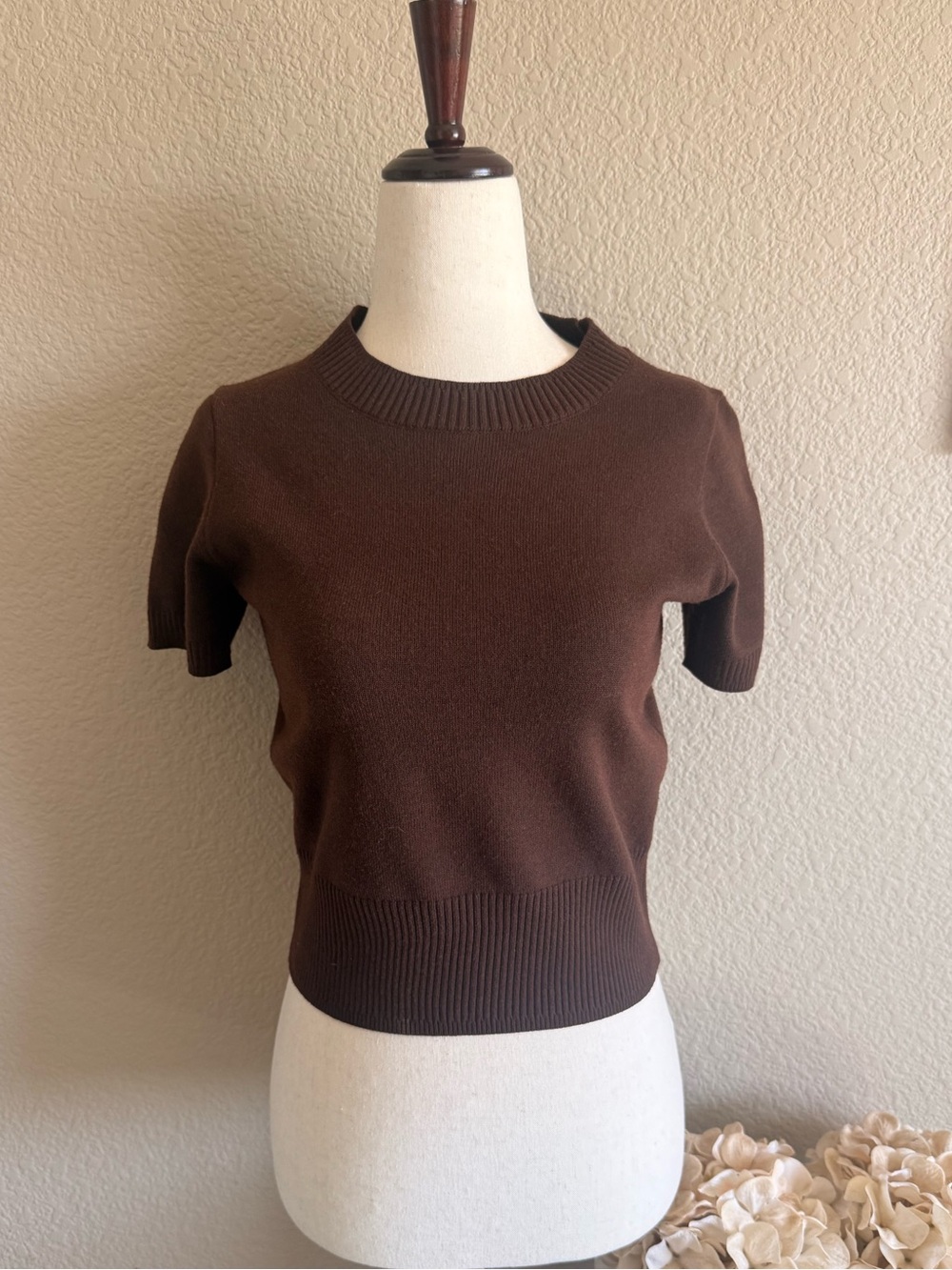 Classic Brown Short-Sleeve Women's Sweater